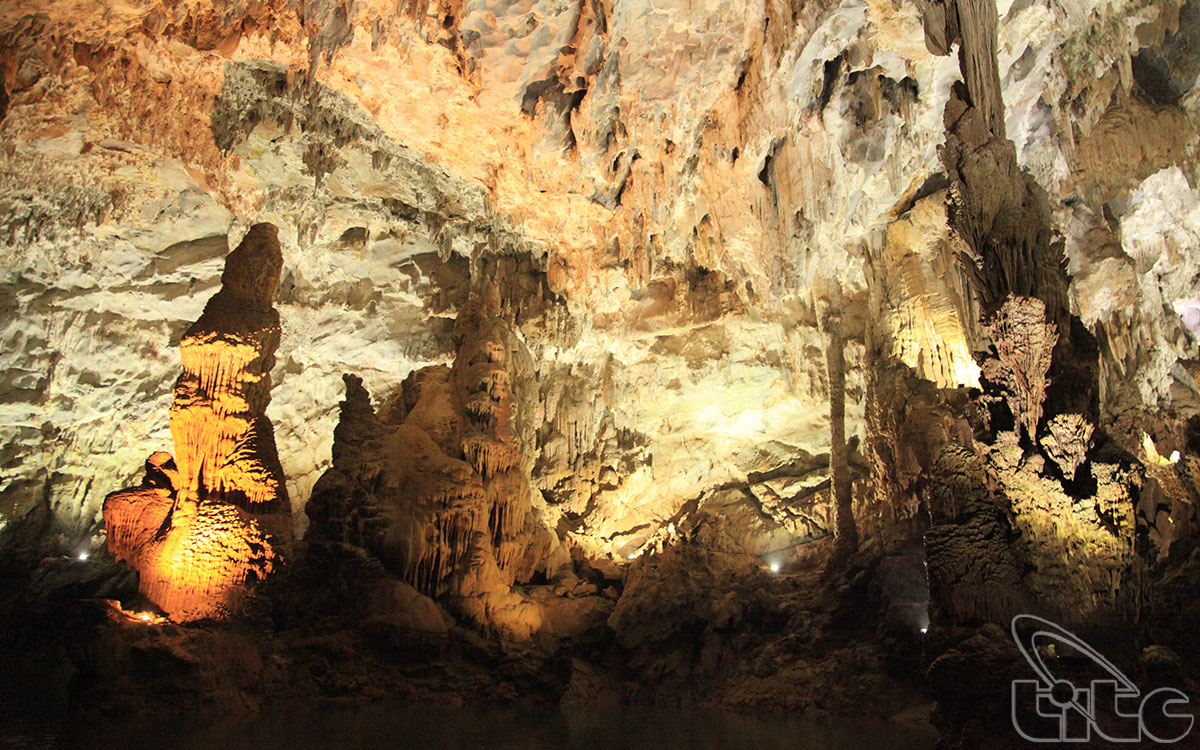 Phong Nha Cave owns a lot of stalactites in unique shapes.