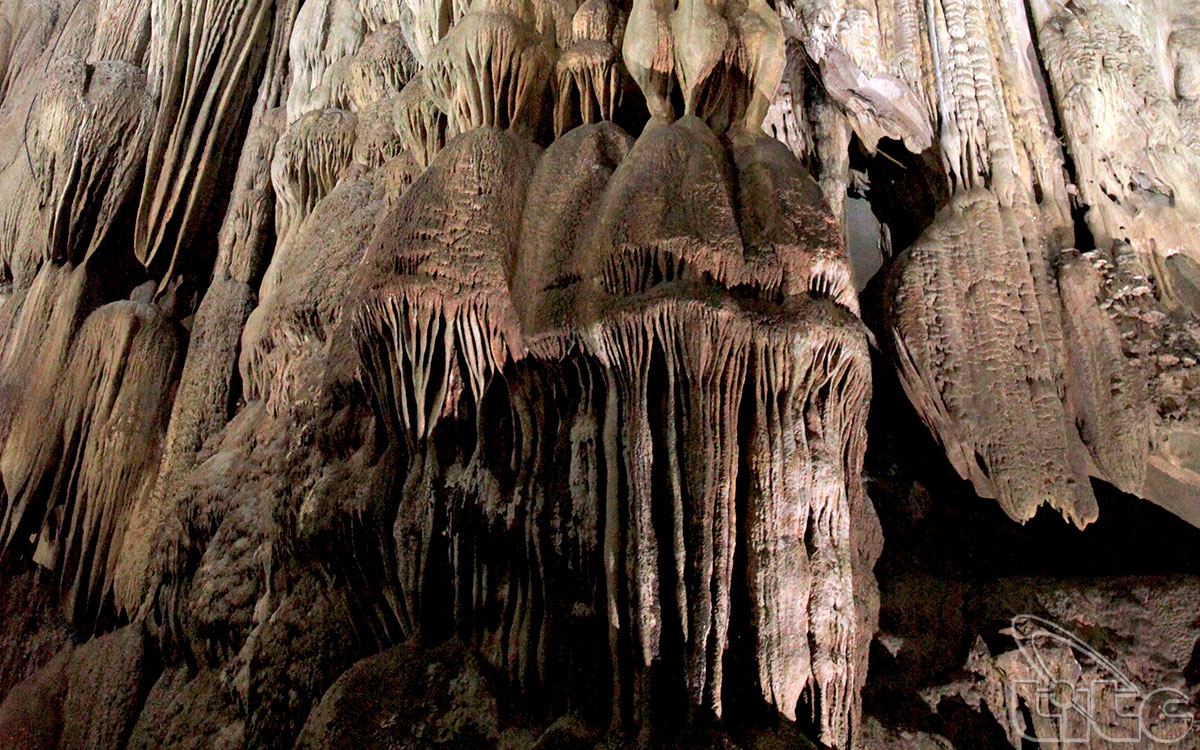 Phong Nha Cave was voted as one of the most beautiful caves in the world by British Royal Geographic Association